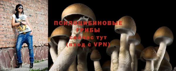 стафф Армянск