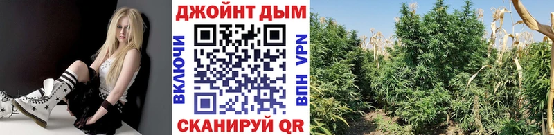 МАРИХУАНА AK-47  Советск 
